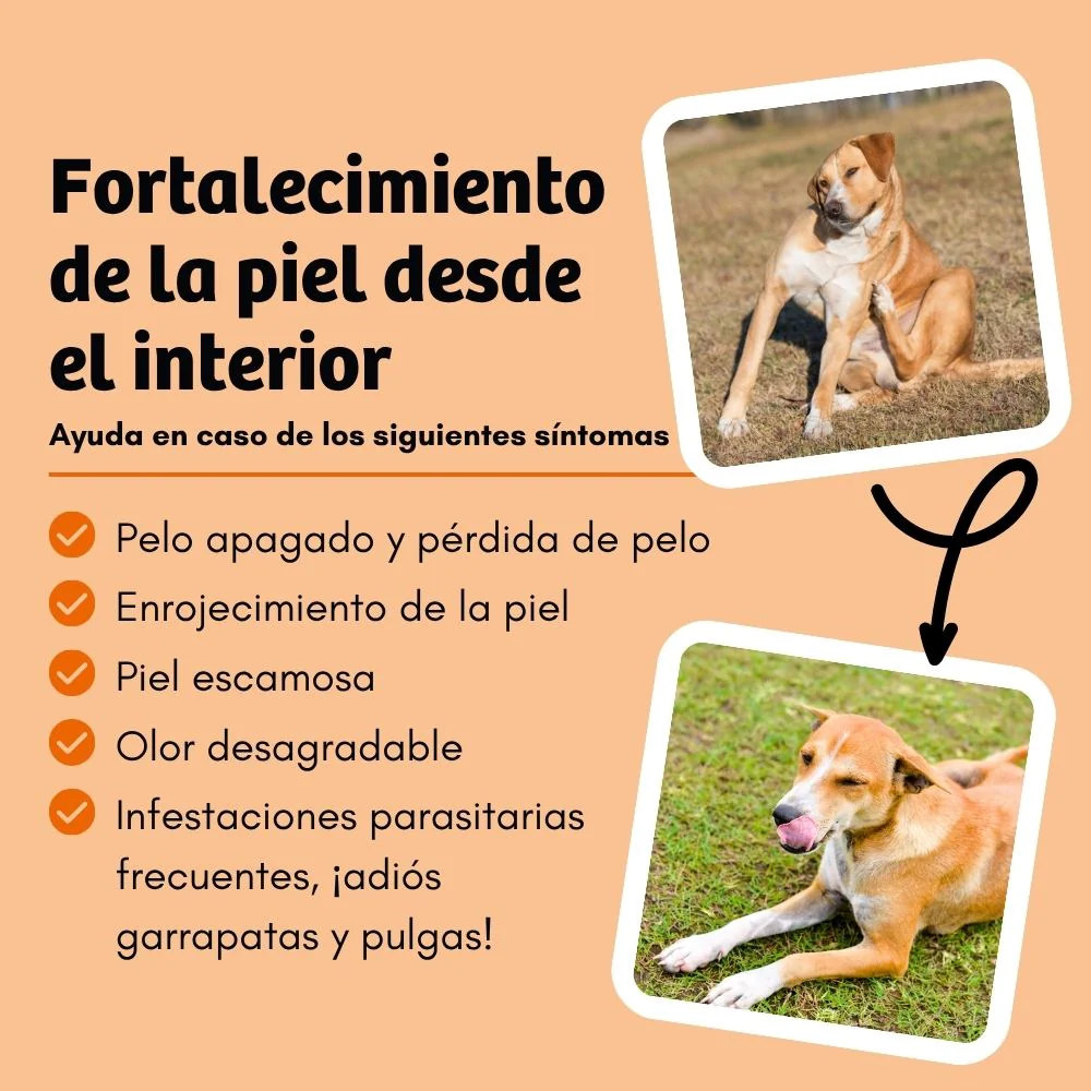 Imagem do produto 4