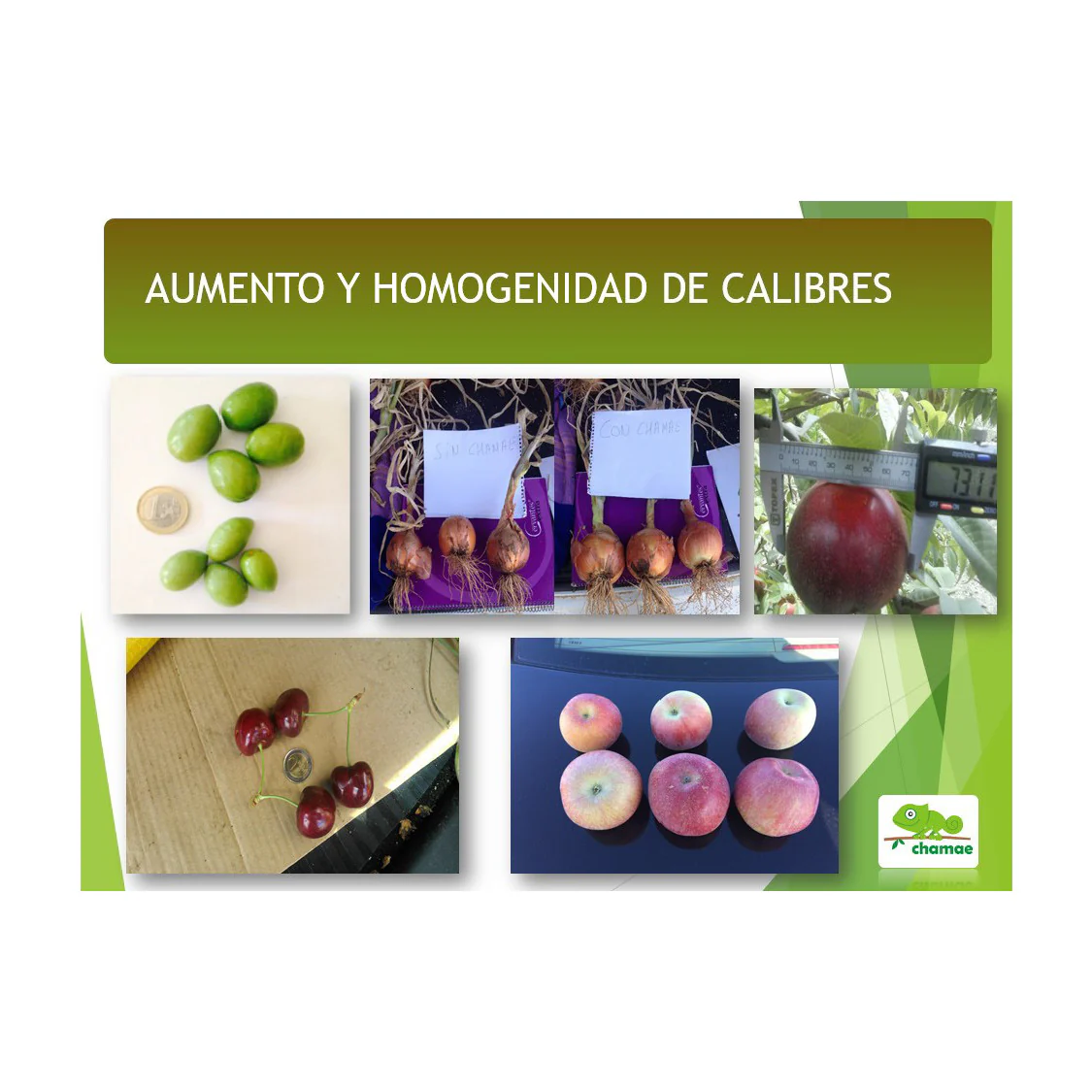 Imagem do produto 5