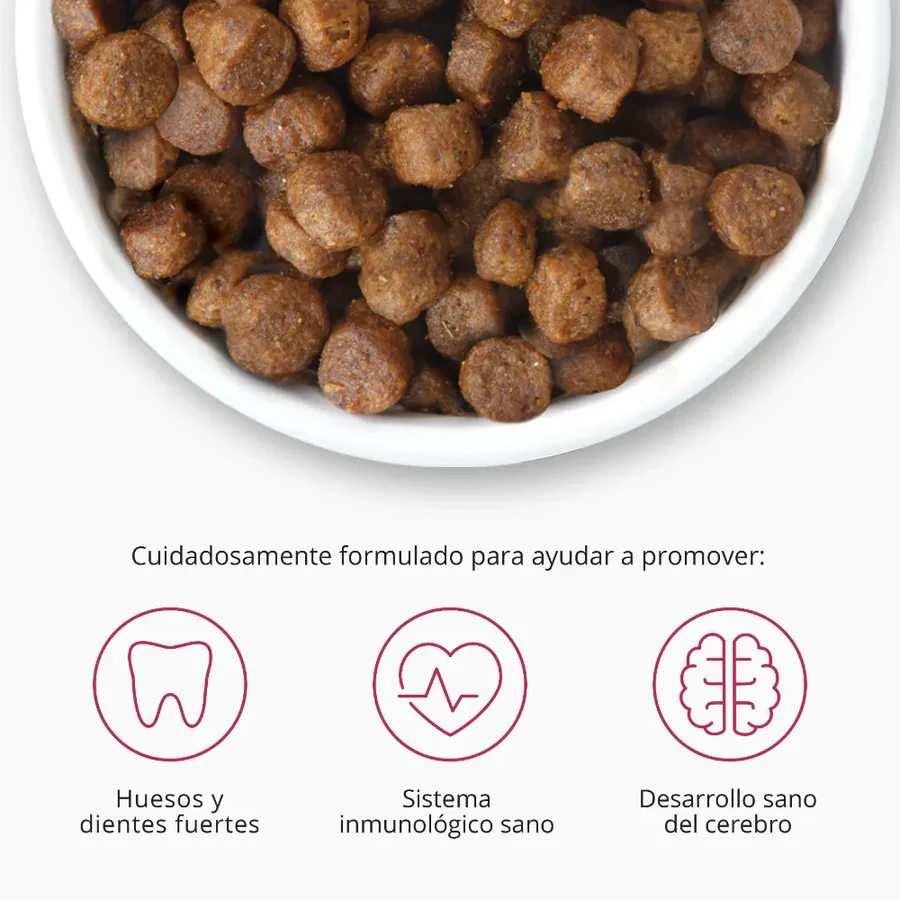 Imagem do produto 2